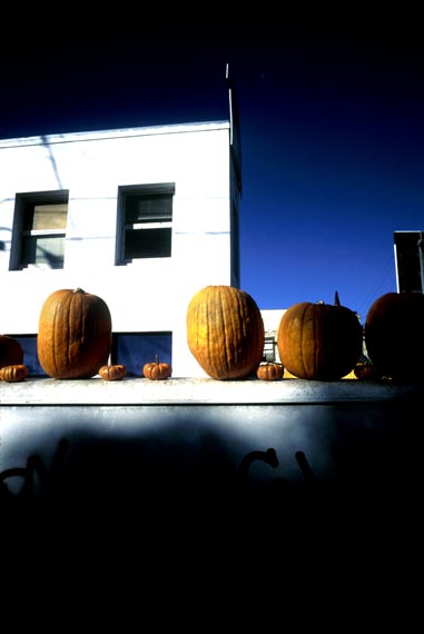 pumpkins(contrast)