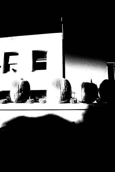 pumpkins(contrastB&W)