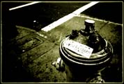 Meeow_Hydrant4