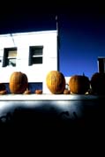 pumpkins(contrast)