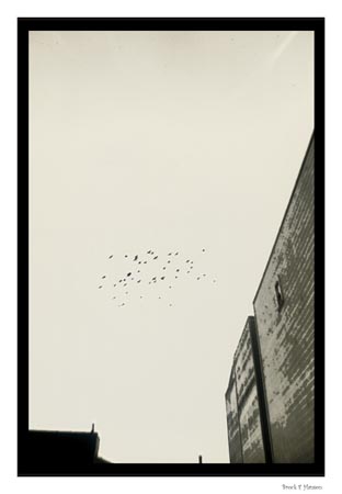 in