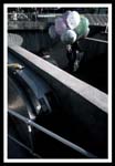 balloons