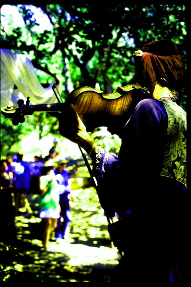 violin