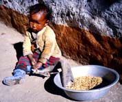 Tibetan