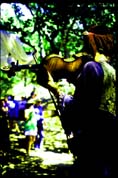 violin