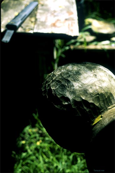 head