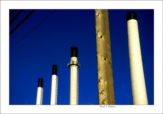 natures'