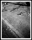 missing