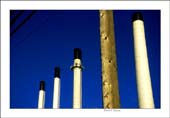 natures'