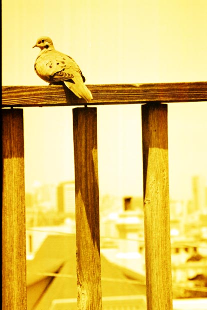 AA_ordinary-objects_011