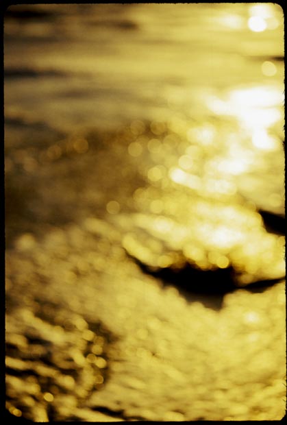 When-the-ocean-speaks