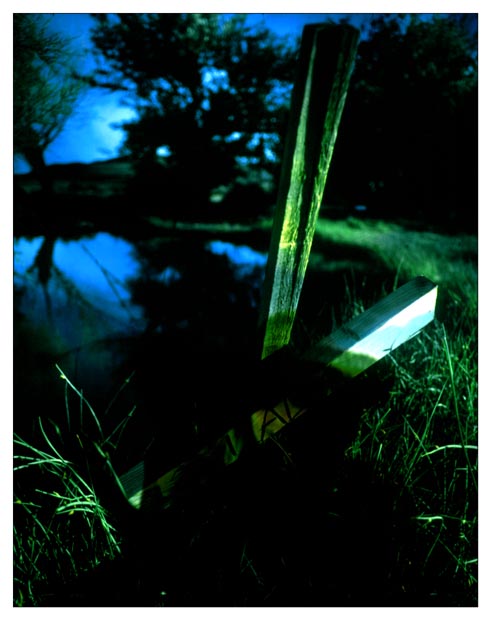 frog_springs