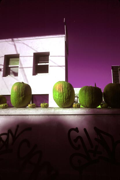 pumpkins(contrast)