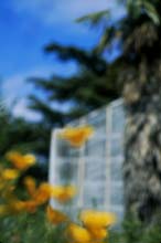 Glass_houses-(o)