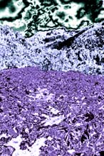 Patagonia_ice-(line)