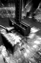 floodgate-(b&w)