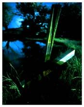 frog_springs