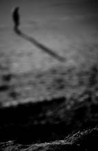 ghost's-walk-(b&w)