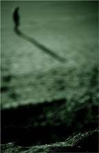 ghost's-walk-(tri)