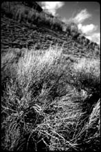 idaho-(b&w)