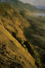 san_francisco_coast-(o)