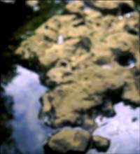 the_end_or_before_it_began-(o)