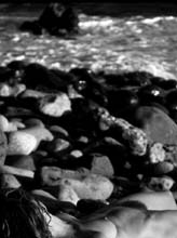 washed_up-(b&w)