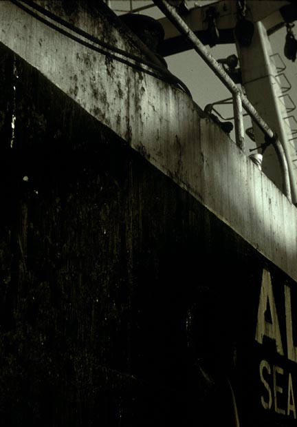 ALL-Sea-(o)
