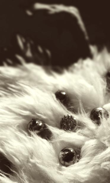 analog_feeling-(o)