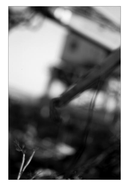 cranes-(b&w2)-hp