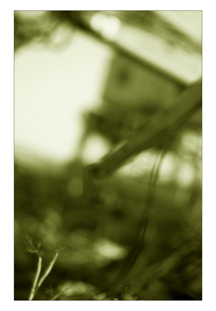 cranes-(duo)-hp