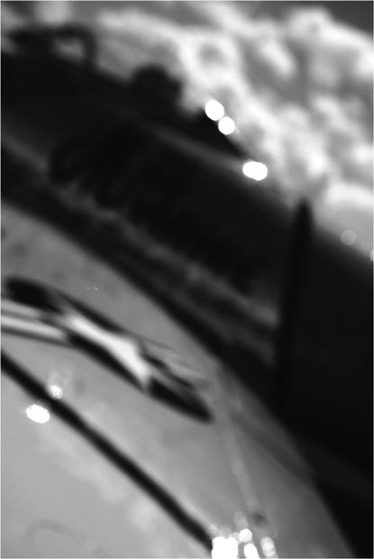 dive-bomb-(b&w)