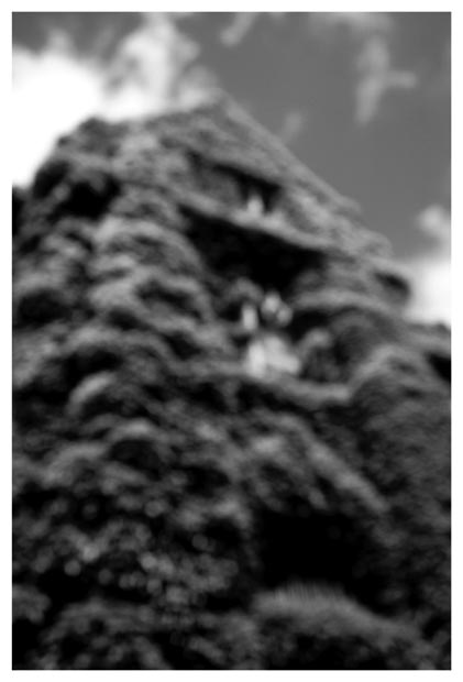 ivy_league-(b&w)