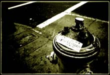 Meeow_Hydrant4
