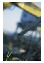 cranes-(o)-hp