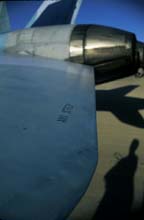 the_bomb-(o)