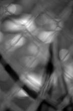 thru-the-fence-(b&w)hp