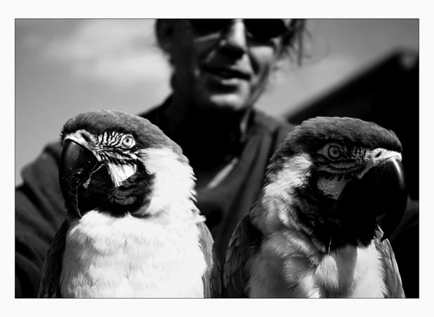 bird_trip-(b&w)