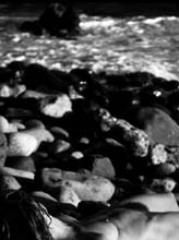 washed_up-(b&w)2