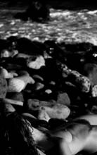 washed_up-(b&w)3
