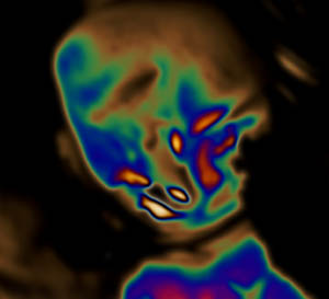 Bio-Assays and other mind warping testimonials.