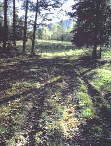 Walking towards the large meadow, 
 stream to your right.
