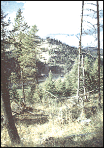 The view from adjacent BLM land.
--Click for early articles of incorporation.