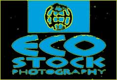 EcoStock Photography