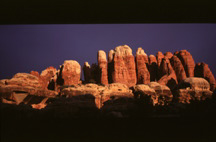 Arizona