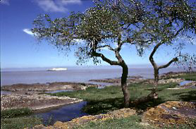 Uruguay, and more pictures if you click.