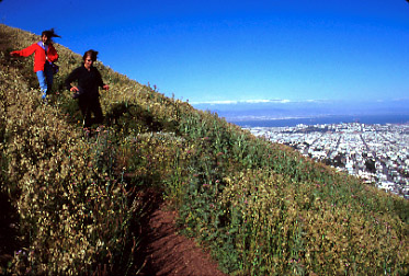 Twin Peaks